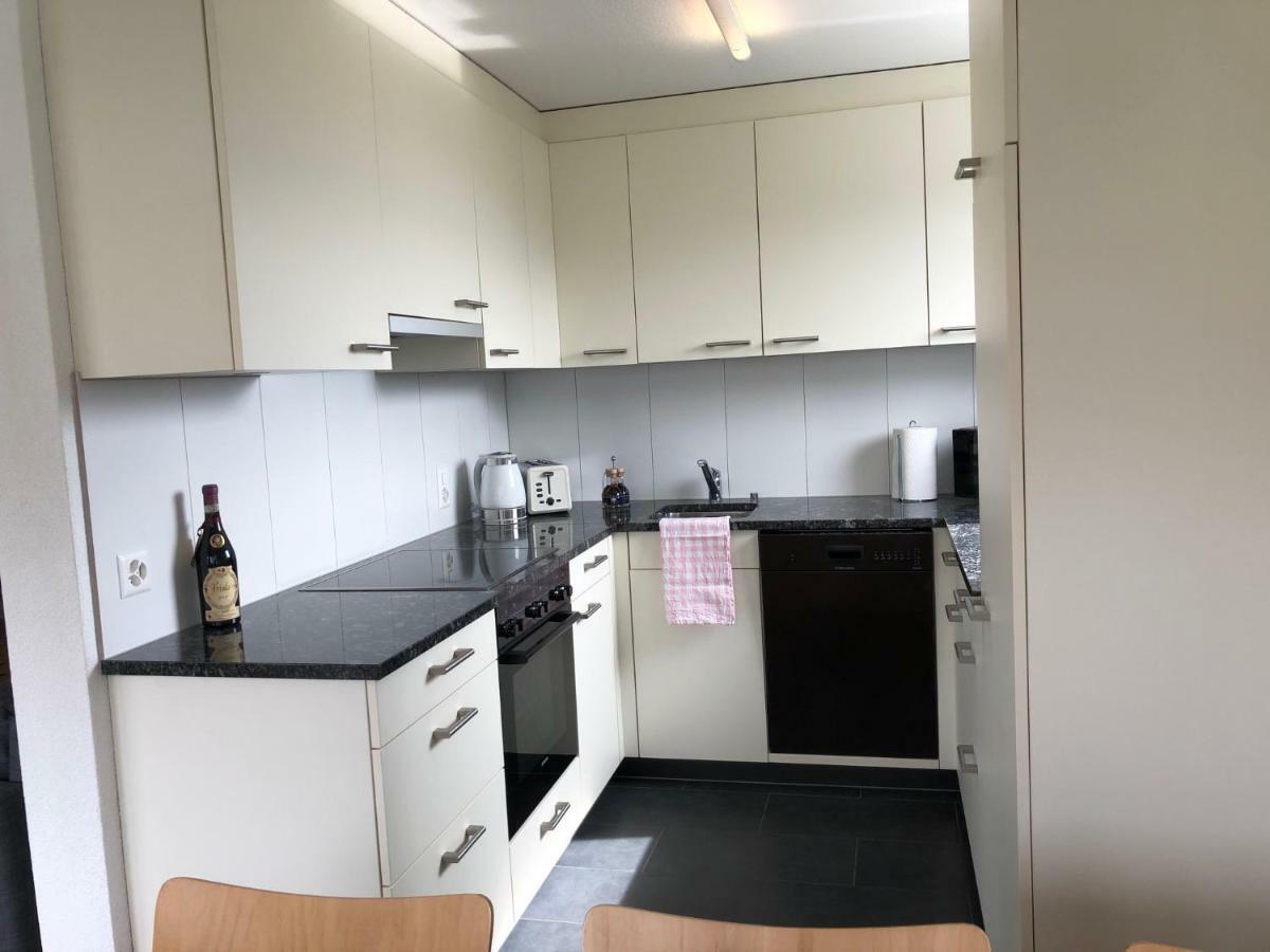 Local-Apartments Pilatus Lucerna Zewnętrze zdjęcie